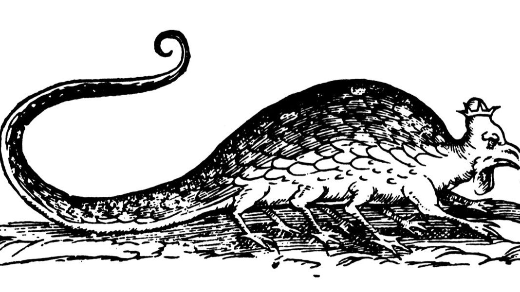 A 1640 engraving of a basilisk, a crowned serpent-like creature with clawed feet and a coiled tail, from Ulisse Aldrovandi's natural history of serpents and dragons